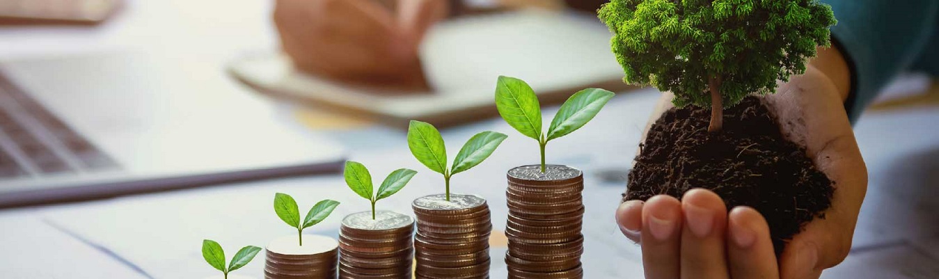 Financial Literacy